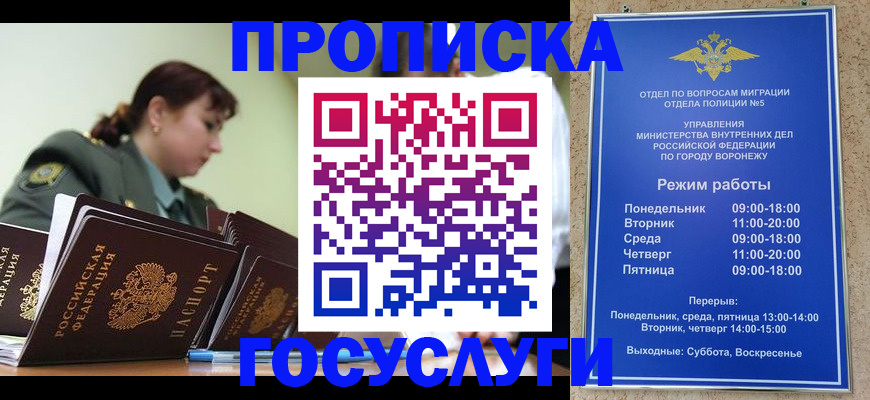 миграционный учет в Щёлково