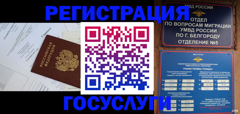 временная прописка в Щёлково